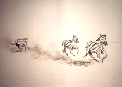 Bild Drei flüchtende Zebras von hinten von Uli Aschenborn